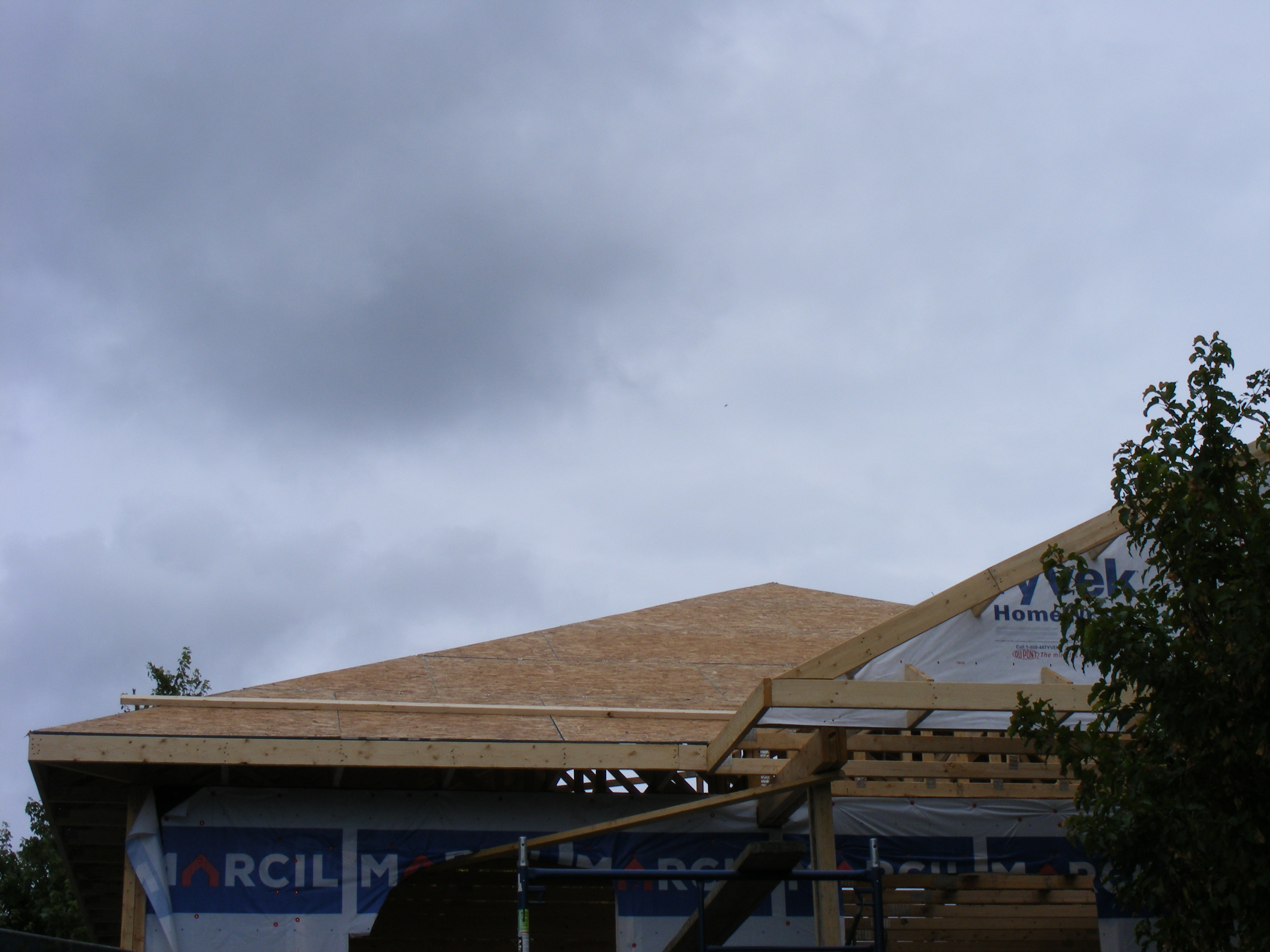 Installation du contreplaqué pour le toit